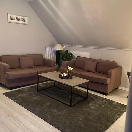 Orchidee Niebüll