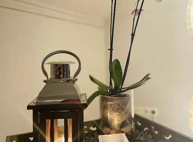 アパート Orchidee Niebüll