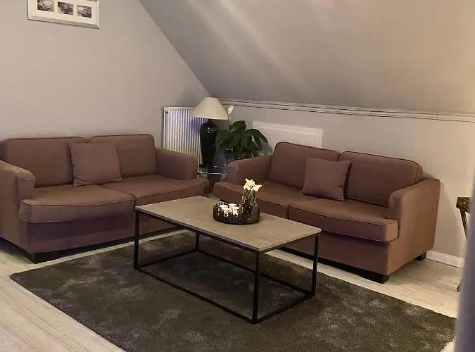 Orchidee Niebüll